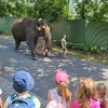 Fotografie 21 - ZOO v Ústí nad Labem