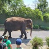 Fotografie 22 - ZOO v Ústí nad Labem
