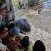 Fotografie 23 - ZOO v Ústí nad Labem