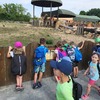 Fotografie 25 - ZOO v Ústí nad Labem