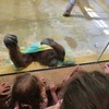 Fotografie 30 - ZOO v Ústí nad Labem