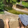 Fotografie 35 - ZOO v Ústí nad Labem