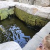 Fotografie 37 - ZOO v Ústí nad Labem