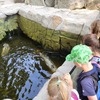 Fotografie 38 - ZOO v Ústí nad Labem
