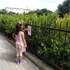 Fotografie 16 - Naučná stezka o přírodě
