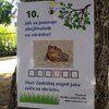 Fotografie 38 - Naučná stezka o přírodě