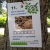 Fotografie 39 - Naučná stezka o přírodě