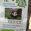 Fotografie 42 - Naučná stezka o přírodě