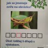 Fotografie 44 - Naučná stezka o přírodě