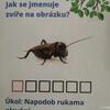 Fotografie 45 - Naučná stezka o přírodě