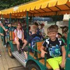 Fotografie 5 - ZOO Ústí nad Labem
