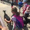 Fotografie 13 - ZOO Ústí nad Labem