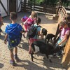 Fotografie 14 - ZOO Ústí nad Labem