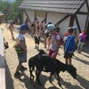 Fotografie 17 - ZOO Ústí nad Labem