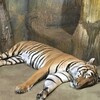 Fotografie 20 - ZOO Ústí nad Labem