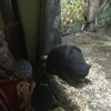 Fotografie 23 - ZOO Ústí nad Labem