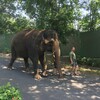 Fotografie 27 - ZOO Ústí nad Labem