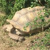Fotografie 28 - ZOO Ústí nad Labem