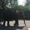 Fotografie 29 - ZOO Ústí nad Labem