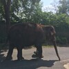 Fotografie 30 - ZOO Ústí nad Labem
