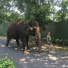 Fotografie 31 - ZOO Ústí nad Labem