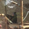Fotografie 33 - ZOO Ústí nad Labem