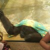 Fotografie 34 - ZOO Ústí nad Labem