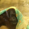 Fotografie 35 - ZOO Ústí nad Labem