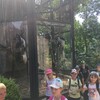 Fotografie 37 - ZOO Ústí nad Labem