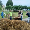 Fotografie 2 - Práce a mlsání na zahradě  