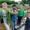 Fotografie 9 - Práce a mlsání na zahradě  