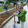 Fotografie 14 - Práce a mlsání na zahradě  