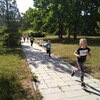 Fotografie 12 - Olympijský běh