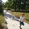 Fotografie 13 - Olympijský běh