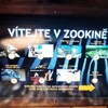 Fotografie 2 - Výlet do ZOO