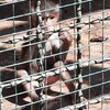 Fotografie 4 - Výlet do ZOO