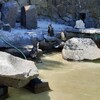Fotografie 5 - Výlet do ZOO