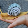Fotografie 6 - Výlet do ZOO