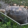 Fotografie 10 - Výlet do ZOO