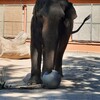 Fotografie 14 - Výlet do ZOO