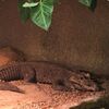 Fotografie 2 - Biopark Gymnázium Teplice