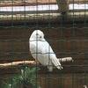 Fotografie 4 - Biopark Gymnázium Teplice