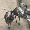 Fotografie 5 - Biopark Gymnázium Teplice