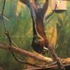 Fotografie 8 - Biopark Gymnázium Teplice
