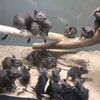 Fotografie 9 - Biopark Gymnázium Teplice