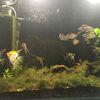 Fotografie 11 - Biopark Gymnázium Teplice