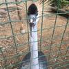 Fotografie 17 - Biopark Gymnázium Teplice