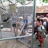 Fotografie 4 - Exkurze do Bioparku 
