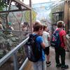 Fotografie 5 - Exkurze do Bioparku 