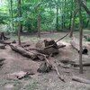 Fotografie 9 - Zoopark Chomutov